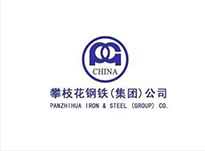 攀枝花鋼鐵(集團)公司